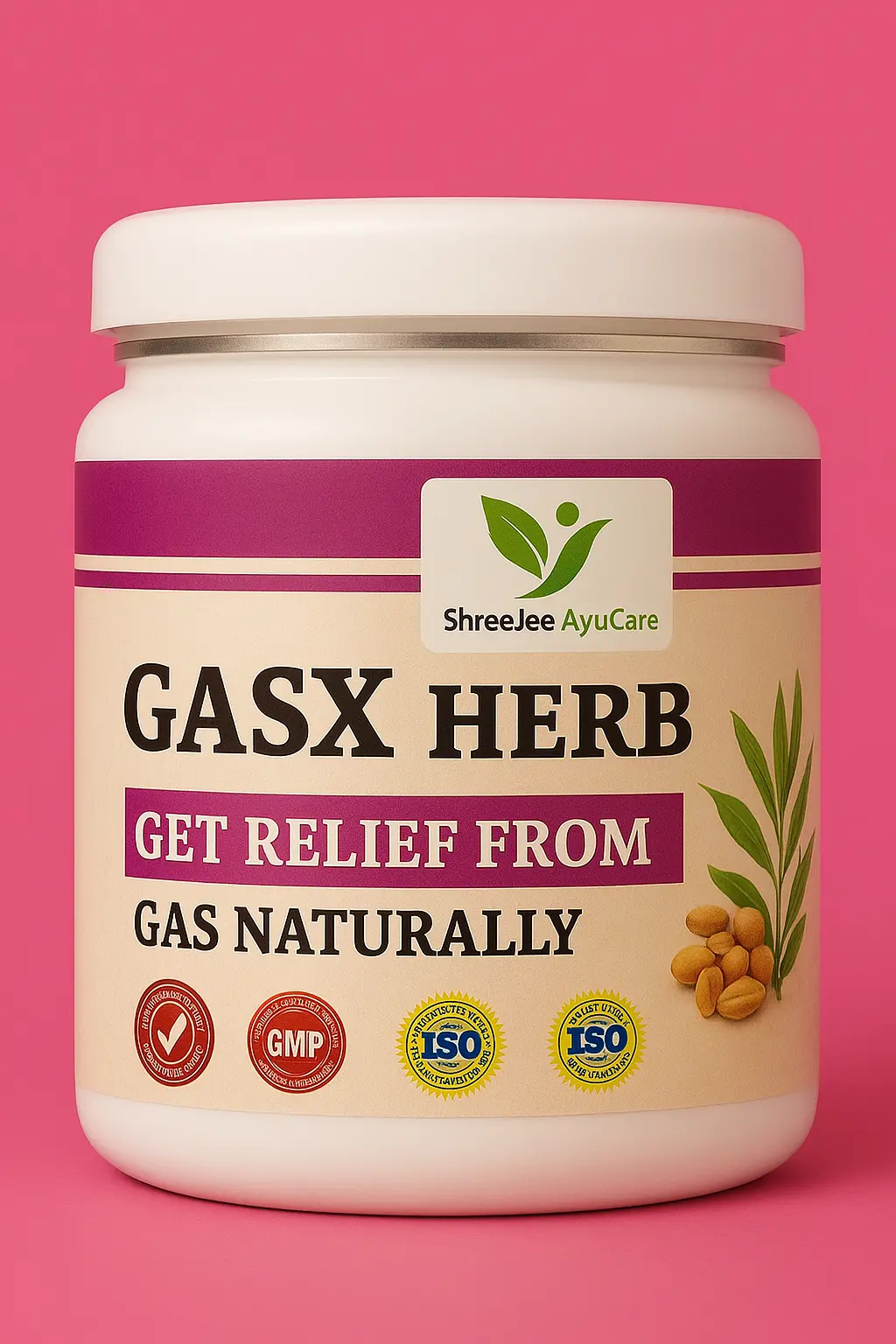 GasX Pro